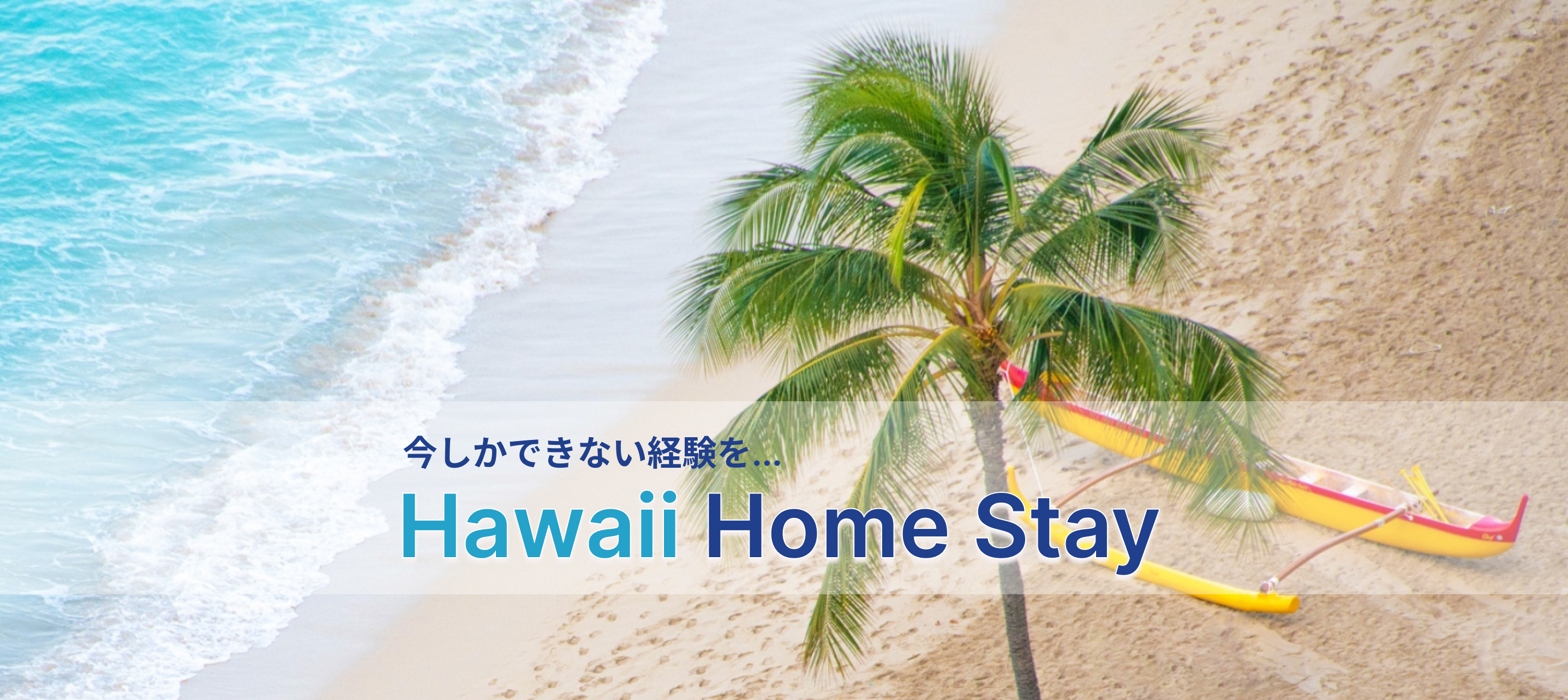 ハワイホームステイ